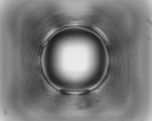 X0000099431465200805091239
