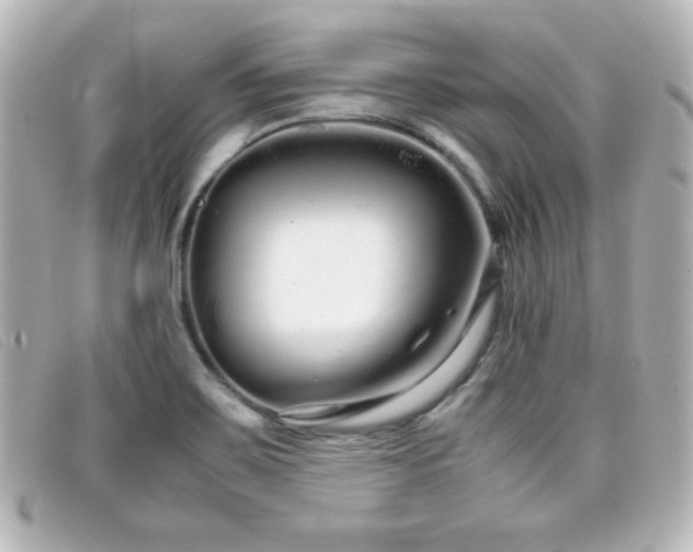 X0000099431467200805091239