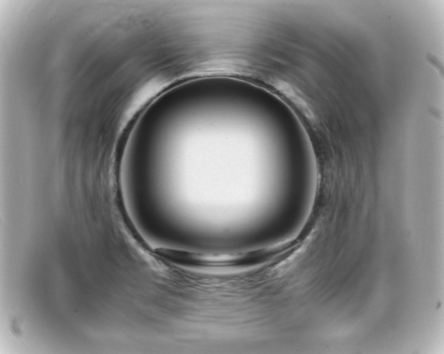 X0000099431469200805091239