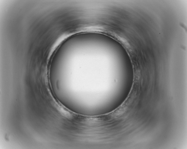 X0000099431470200805091239