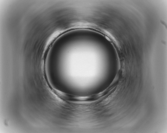 X0000099431472200805091239