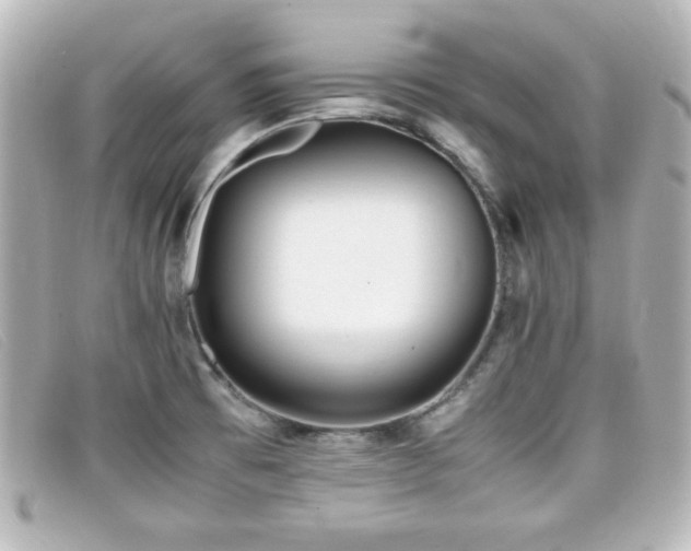 X0000099431473200805091239