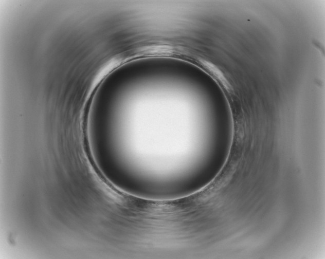 X0000099431475200805091239