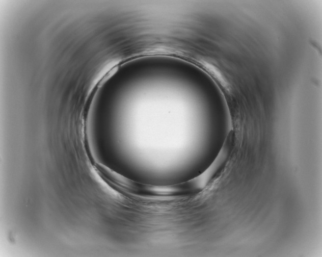 X0000099431476200805091239