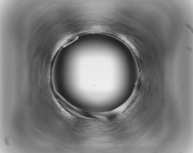 X0000099431477200805091239