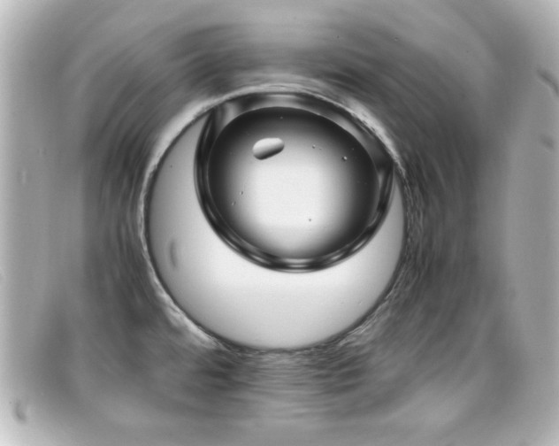 X0000099431480200805091239