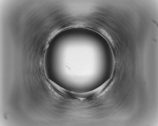X0000099431481200805091239