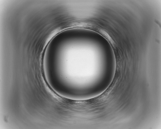 X0000099431483200805091239