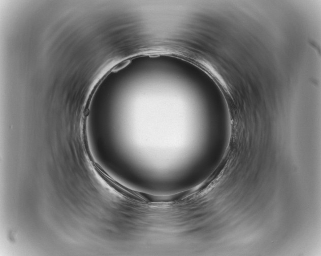 X0000099431484200805091239