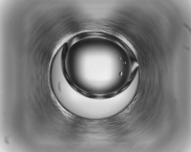 X0000099431485200805091239