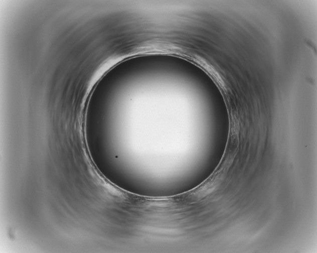 X0000099431486200805091239