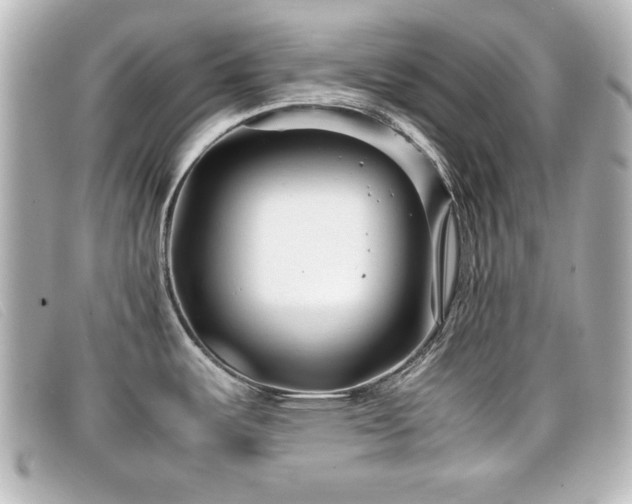 X0000099431487200805091239