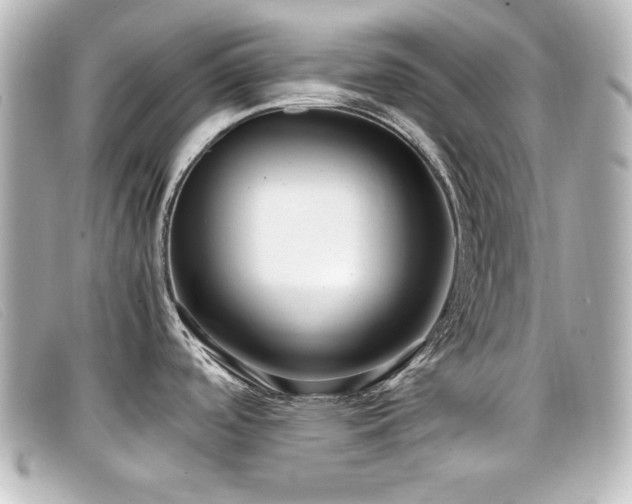 X0000099431488200805091239