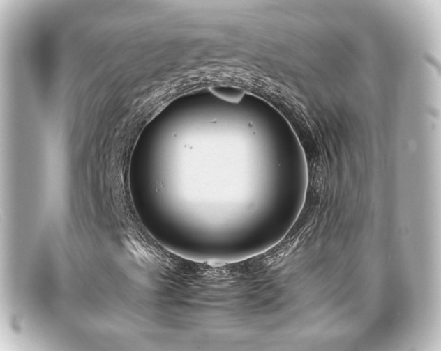 X0000099431489200805091239