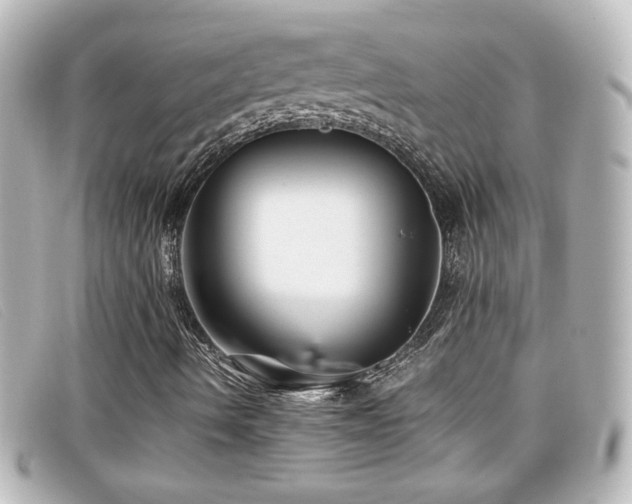 X0000099431490200805091239