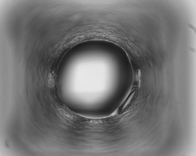 X0000099431491200805091239