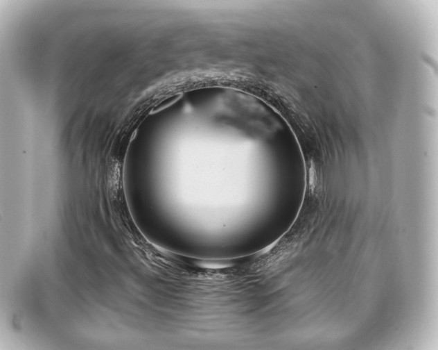 X0000099431492200805091239