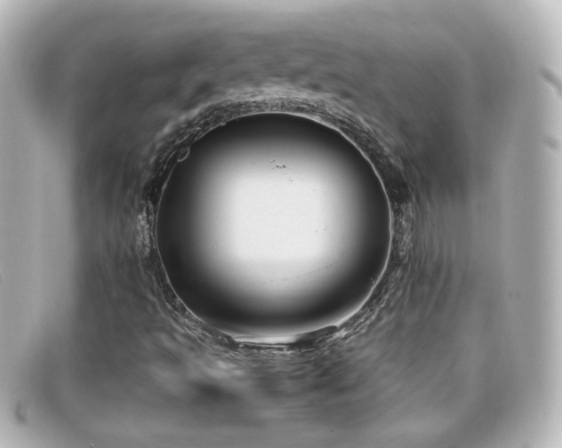 X0000099431493200805091239
