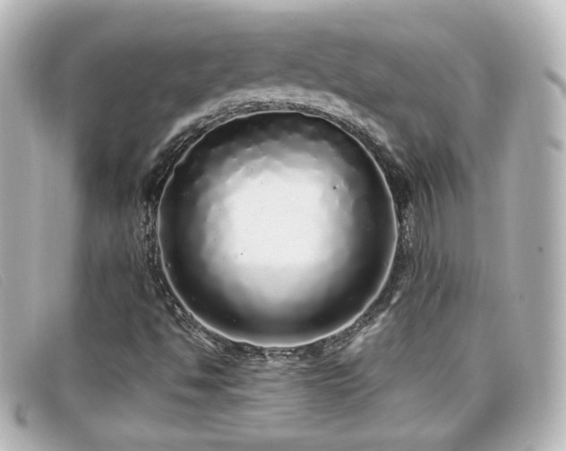 X0000099431494200805091239