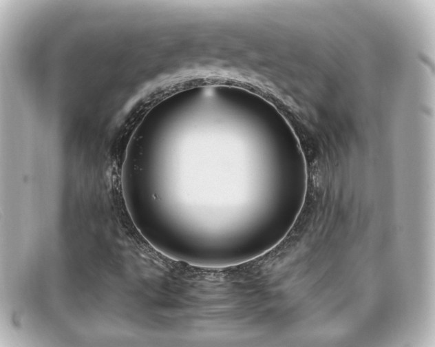 X0000099431495200805091239