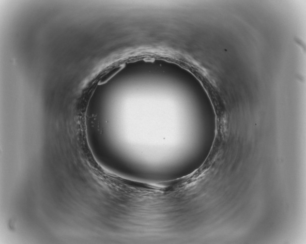 X0000099431496200805091239