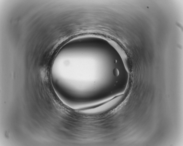 X0000099431497200805091239