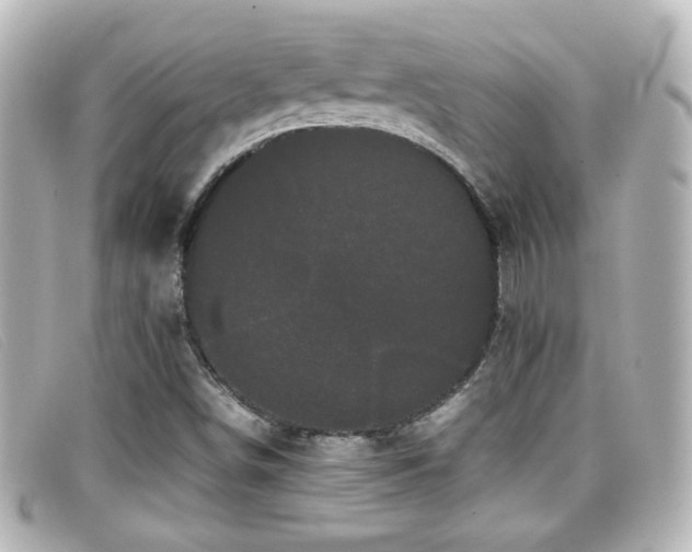 X0000099431498200805091239