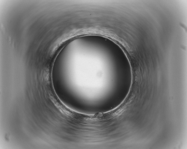X0000099431499200805091239