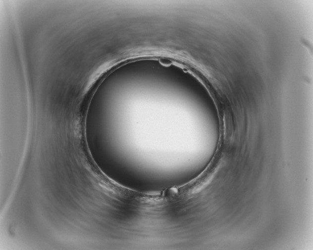 X0000099431501200805091239