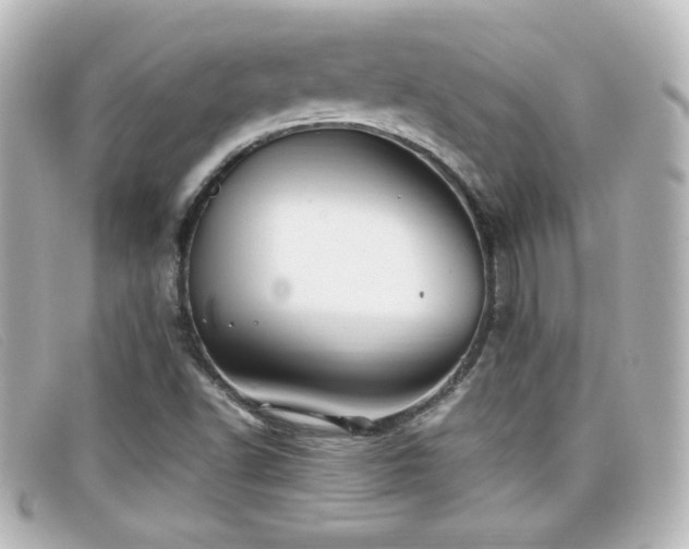 X0000099431502200805091239