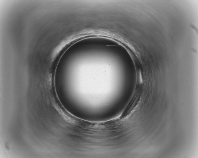 X0000099431503200805091239