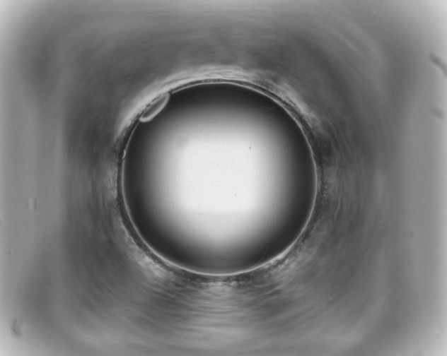 X0000099431504200805091239