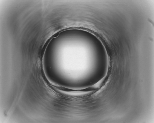 X0000099431505200805091239