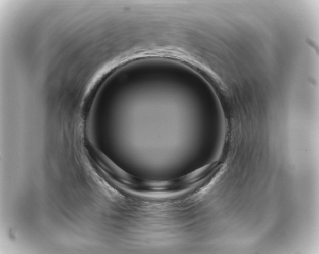 X0000099431506200805091239
