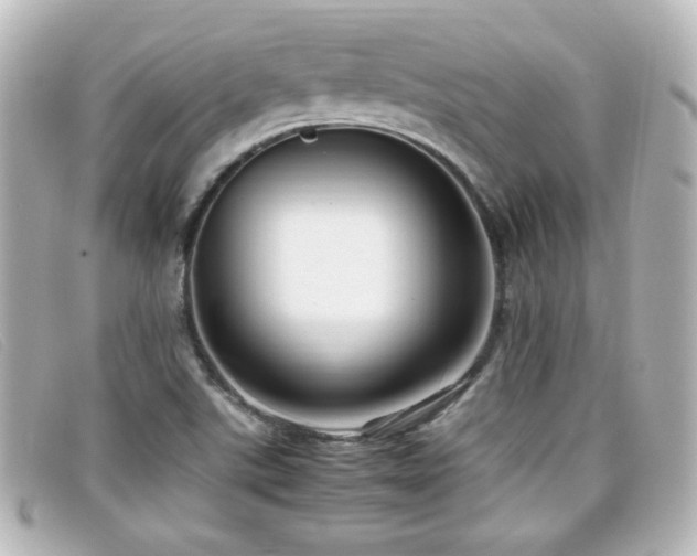 X0000099431507200805091239