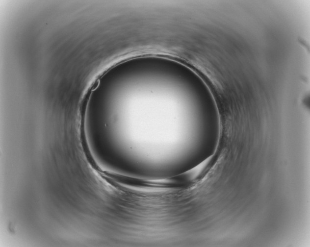 X0000099431508200805091239
