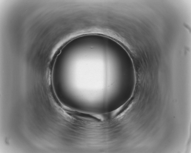 X0000099431510200805091239