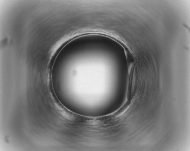 X0000099431511200805091239