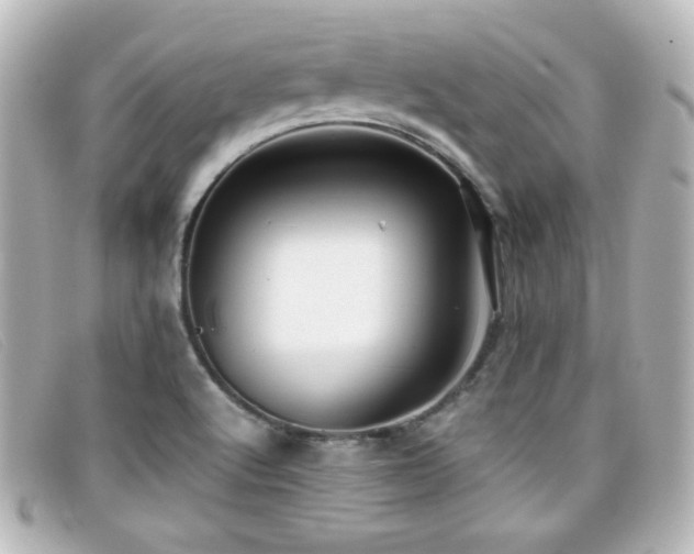 X0000099431512200805091239