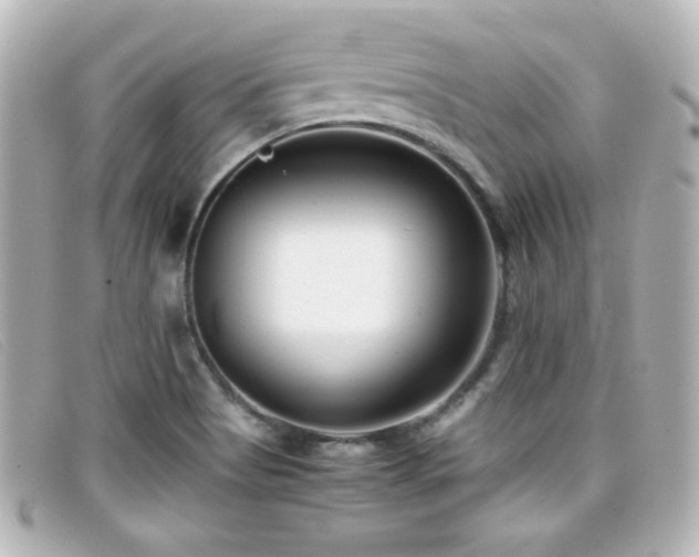 X0000099431513200805091239