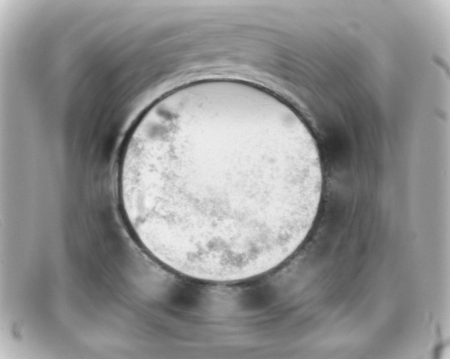 X0000099431514200805091239