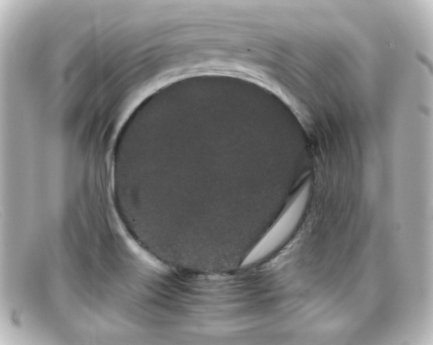 X0000099431515200805091239
