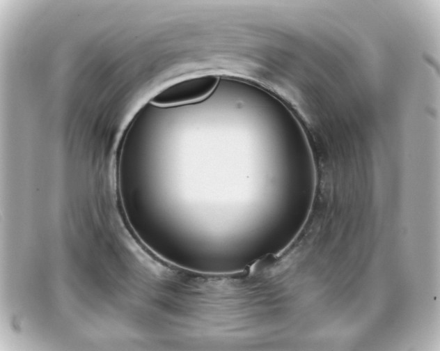 X0000099431516200805091239