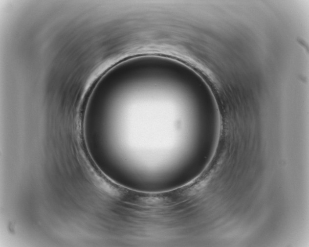 X0000099431517200805091239