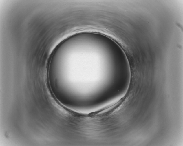 X0000099431518200805091239