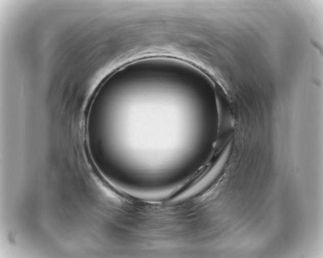 X0000099431519200805091239