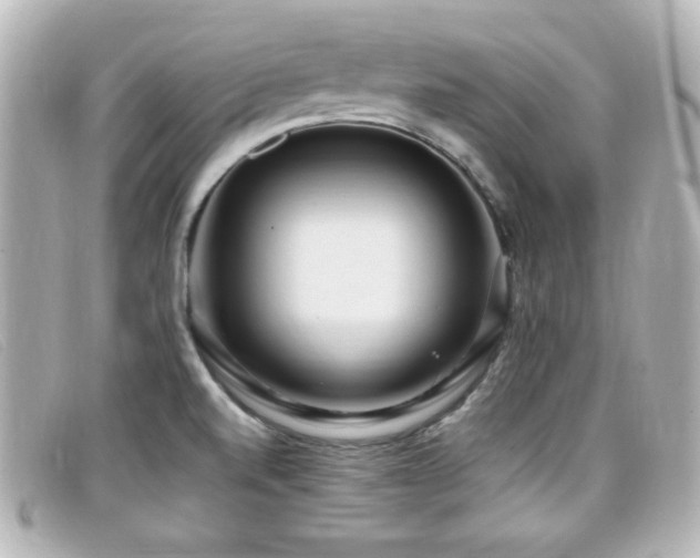 X0000099431520200805091239