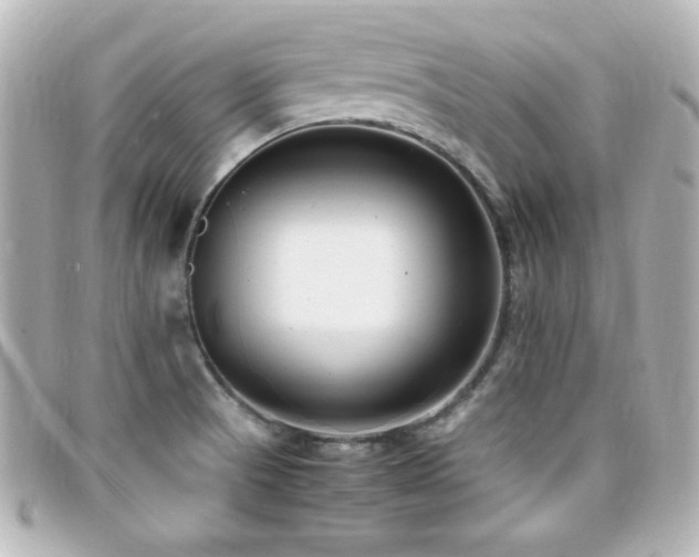 X0000099431521200805091239