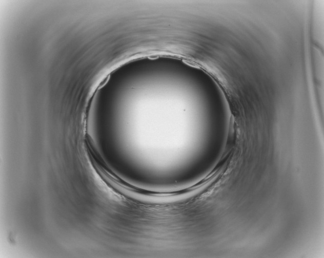 X0000099431524200805091239