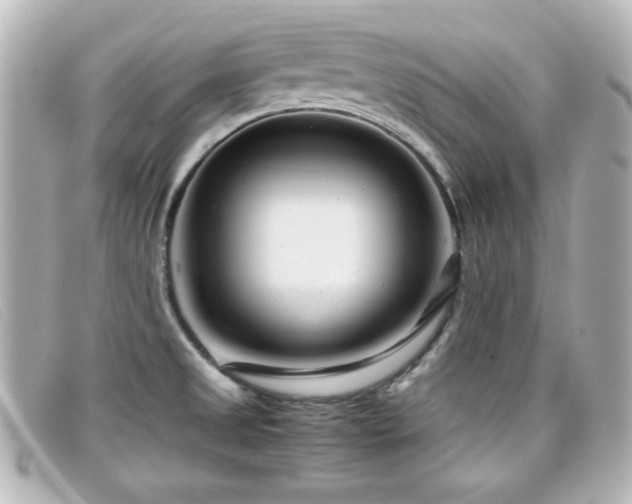 X0000099431525200805091239